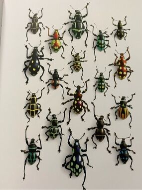 Weevil Group Print 8 x 10. Titled Walking Weevils.